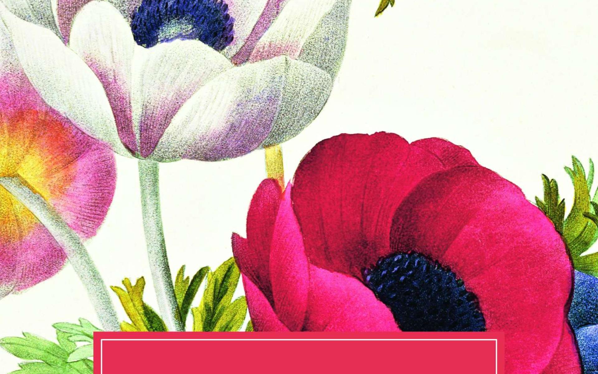 Cover Emma Jane Austen