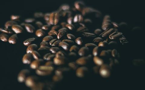 roasted coffee beans